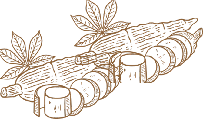 cassava-bg